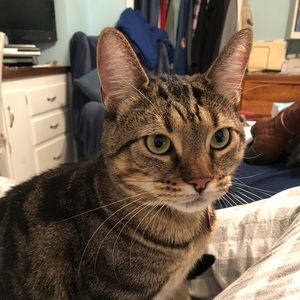 Meet your Posher, Becca